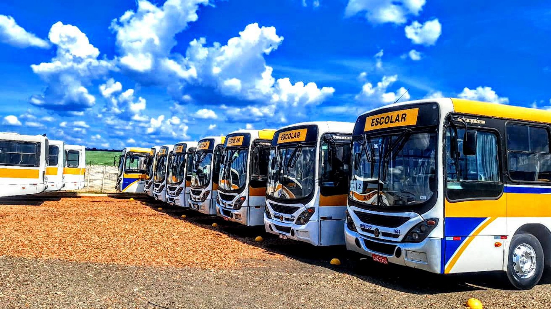 TRANSPORTE ESCOLAR
